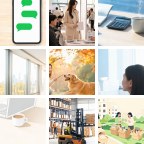 阿坝橡胶密封微信群