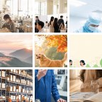白山车险微信群