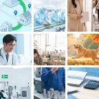海南保亭消防工程微信群