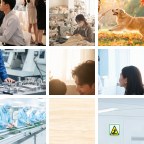 鹤壁浚儿童营养微信群