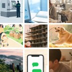 波黑手账微信群