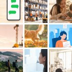 格林纳达大件运输微信群