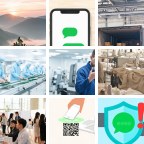 冈比亚除虫灭鼠微信群