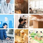波尔图儿童玩具微信群