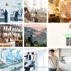 新西伯利亚粮油批发微信群