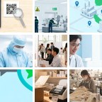 所罗门群岛抵押贷款微信群