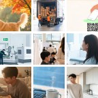 特克斯和凯科斯群岛REACH微信群