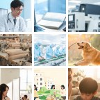 圣文森特和格林纳丁斯批发货源微信群