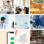 陇南钣金喷漆微信群