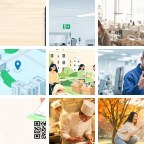 平顶山叶批发市场微信群