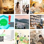 天津破产清算微信群