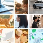 云浮罗定益智玩具微信群
